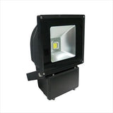 LED Flood Light - 100W (Bridgelux)