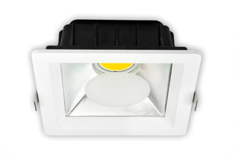 LED Down Light - 10W/20W/30W COB
