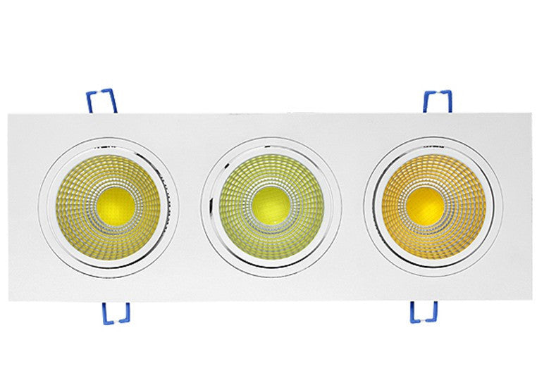 LED Down Light - 60W