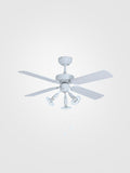 Premier Ceiling Fan With Lights