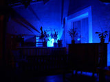 LED Flood Light - 10W RGB with Remote