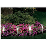 Rechargeable Solar Tulip Light (2 Pack)